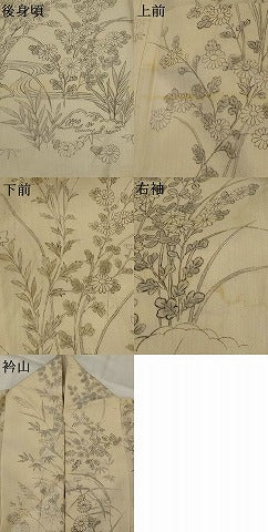 平和屋着物＊夏物　訪問着　紗紬　手描き　流水花松文　正絹　逸品　AABK8726st