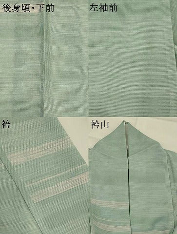 平和屋着物＊夏物　小紋　絽　横段文　洗える着物　AABK8751st