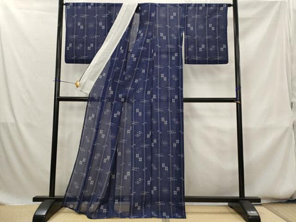 平和屋着物＊夏物　本場琉球絣　夏琉球　正絹　逸品　AABK8774st