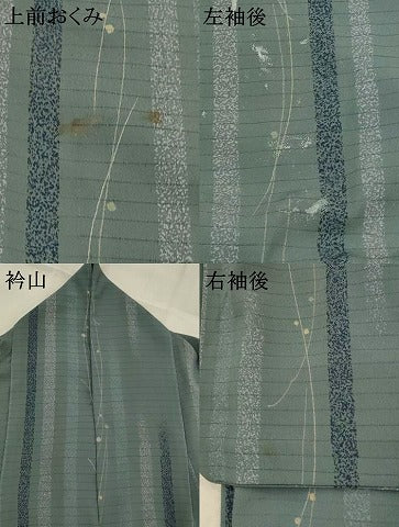 平和屋着物＊夏物　小紋　絽縮緬　間道　洗える着物　AABK8785st
