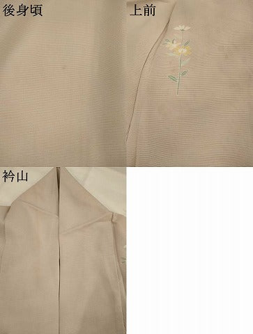 平和屋着物＊夏物 訪問着 友禅 絽 草花文 正絹 逸品 AABK8816st