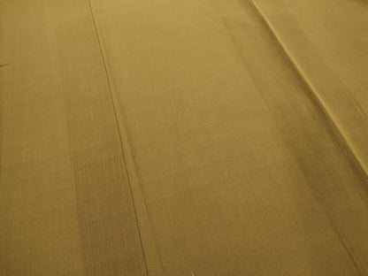 平和屋着物＊夏物　訪問着　紗紬　霞文　暈し染め　ロング丈　正絹　逸品　AABK8854st