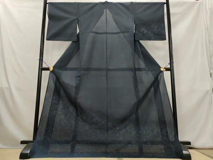 平和屋着物＊夏物　訪問着　夏大島　草花文　ロング丈　正絹　逸品　AABK8882st