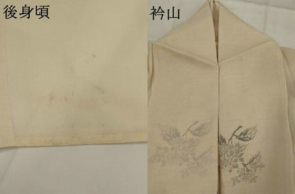 平和屋着物＊夏物　夏大島　草花文　正絹　逸品　AABK8883st