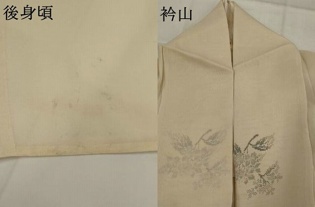 平和屋着物＊夏物　夏大島　草花文　正絹　逸品　AABK8883st