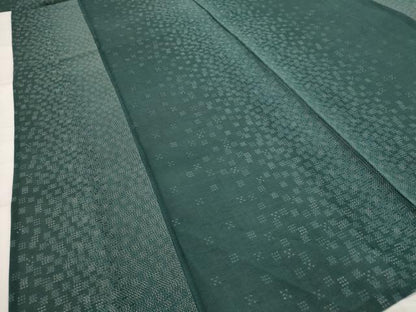 平和屋着物＊夏物　本場大島紬　夏大島　間道　ロング丈　正絹　逸品　AABK8901st