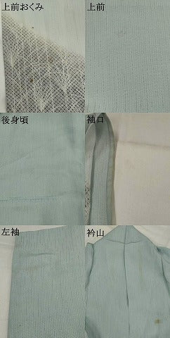 平和屋着物＊夏物　訪問着　霞文紗　すすき文　暈し染め　金彩　正絹　逸品　AABK8918st