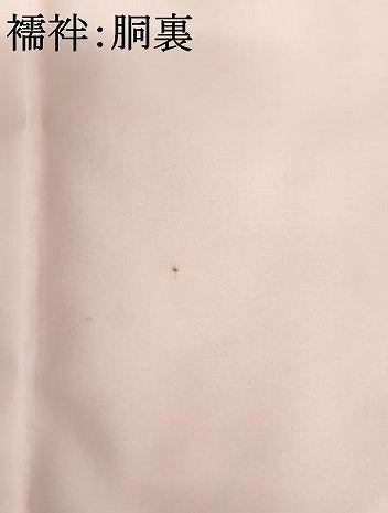 平和屋着物[]お宮参り　女の子　祝着　産着　初着　のしめ　花鼓文　暈し染め　金彩　逸品　AABK9154ja