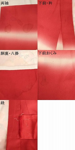 平和屋着物[]お宮参り　女の子　祝着　産着　初着　のしめ　鴛鴦花鼓文　暈し染め　金銀彩　正絹　逸品　AABK9212ja
