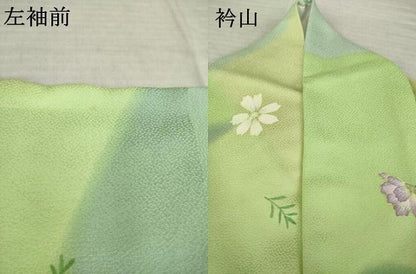 平和屋着物●染色作家　茂木蒼城　蒼城染め　小紋　舞花文　正絹　逸品　AABK9337ck