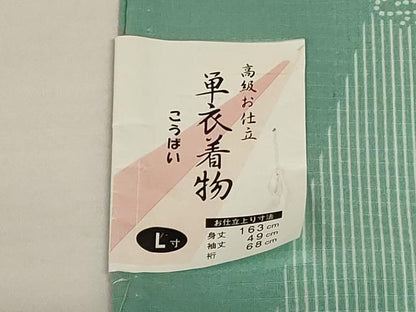 平和屋着物＊夏物　小紋　紅梅織　舞花間道　洗える着物　AABK9405jd