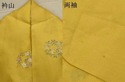 平和屋着物＊夏物　小紋　絽　草花丸文　正絹　逸品　AABK9446jd