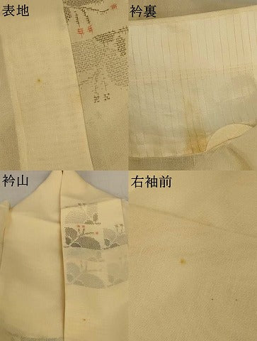 平和屋着物＊夏物　紗紬　草花文　正絹　逸品　AABK9456jd