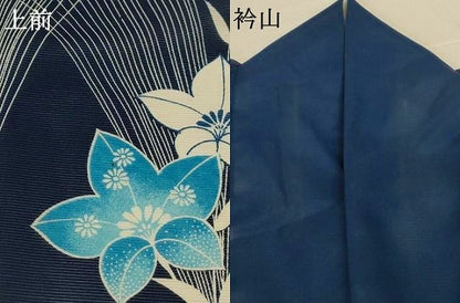 平和屋着物＊夏物　訪問着　絽　草花文　洗える着物　AABK9472jd
