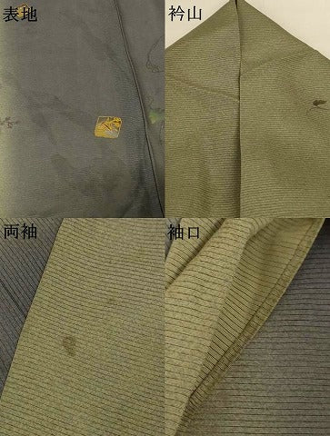 平和屋着物＊夏物　訪問着　絽　鶴　暈し染め　金彩　正絹　逸品　AABK9494jd