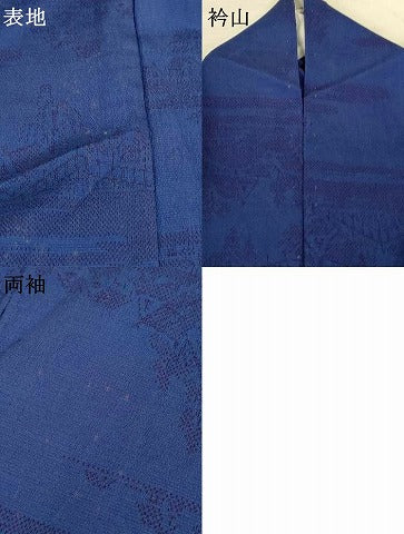 平和屋着物＊夏物　本塩沢　夏塩沢　風景文　正絹　逸品　AABK9548jd