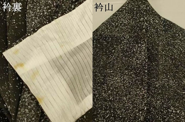 平和屋着物＊夏物　訪問着　絽　ろうけつ染め　枝葉文　黒地　正絹　逸品　AABK9558jd