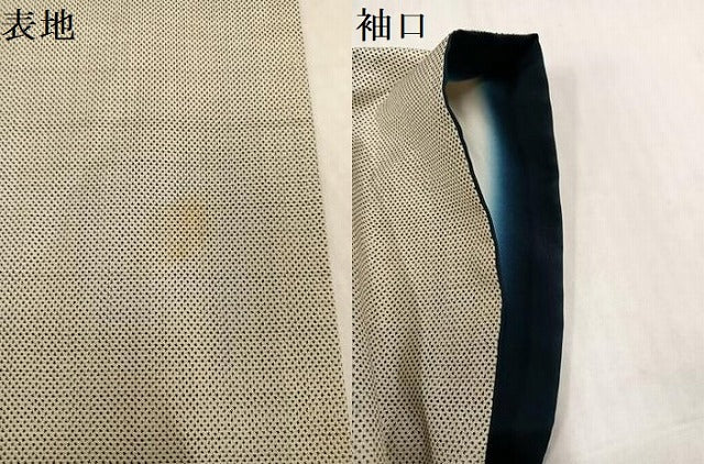 平和屋着物●訪問着　本場大島紬　白大島　7マルキ　舞花文　正絹　逸品　AABK9886ph