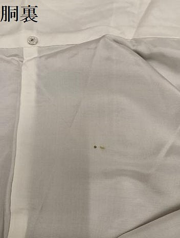 平和屋着物●上質な紬　切嵌文　正絹　逸品　AABK9887ph