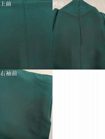 平和屋着物●豪華振袖　色無地　虫襖色　正絹　逸品　AABK9949ph