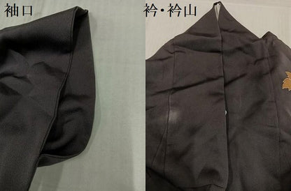 平和屋着物●訪問着　枝花文　金彩　正絹　逸品　AABK9973ph