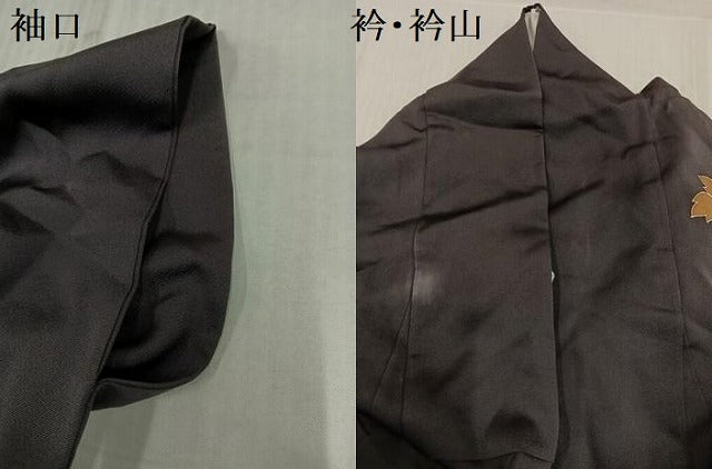 平和屋着物●訪問着　枝花文　金彩　正絹　逸品　AABK9973ph