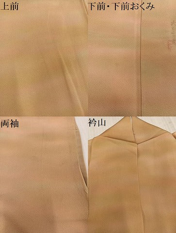 平和屋着物●虹色創家　本郷大田子　小紋　大田子染　霞文　正絹　逸品　AABK9989ph