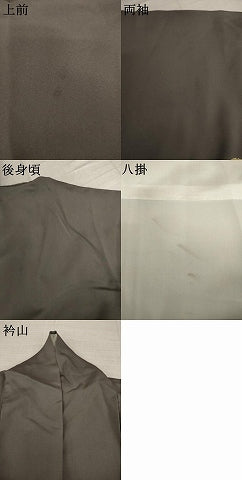 平和屋着物●訪問着　駒刺繍　舞花文　金彩　正絹　逸品　AABL0045ck