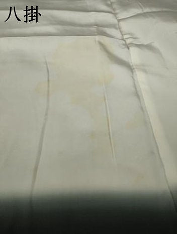 平和屋着物●上質な小紋　菊唐草　正絹　逸品　AABL0067ck
