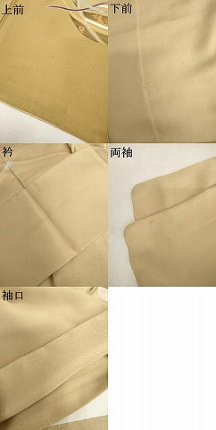 平和屋着物●訪問着　流水文　暈し染め　金彩　正絹　逸品　AABL0127cs