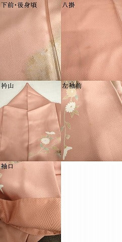平和屋着物●訪問着　枝花文　暈し染め　金銀彩　正絹　逸品　AABL0132cs