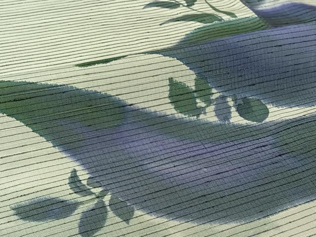 平和屋着物▽手描友禅女流作家　一色生子　紬　単衣　草花文　反端付き　正絹　逸品　AABL0533jh