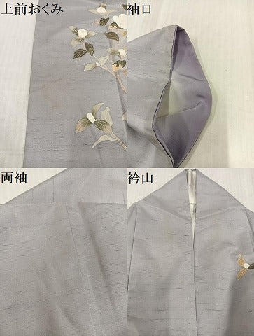平和屋着物●白山紬　訪問着　友禅　作家物　枝花文　ロング丈　正絹　逸品　AABL0628ph
