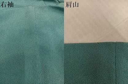 平和屋着物●訪問着　江戸小紋　鮫小紋柄　暈し染め　鬼しぼ縮緬　正絹　逸品　AABL0651ph