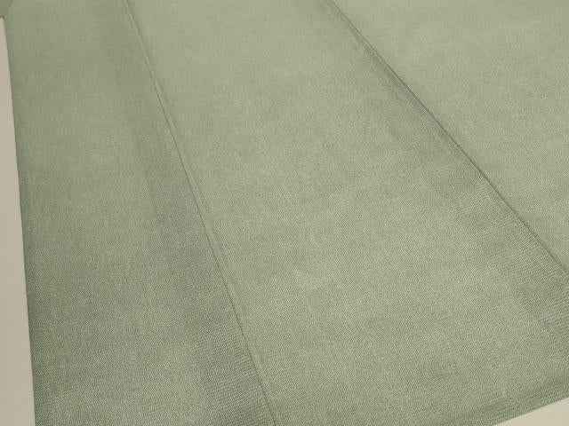 平和屋着物＊夏物　江戸小紋　絽　鮫小紋柄　両面染　さんび謹製　洗える着物　AABL0769jd