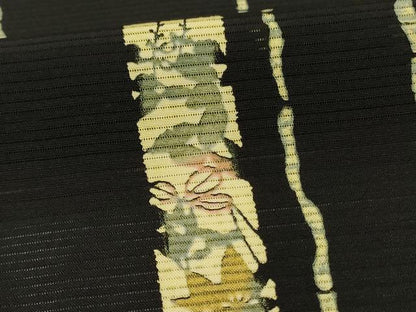 平和屋着物＊夏物　小紋　絽　草花間道　黒地　京都きもの友禅扱い　正絹　逸品　AABL0774jd