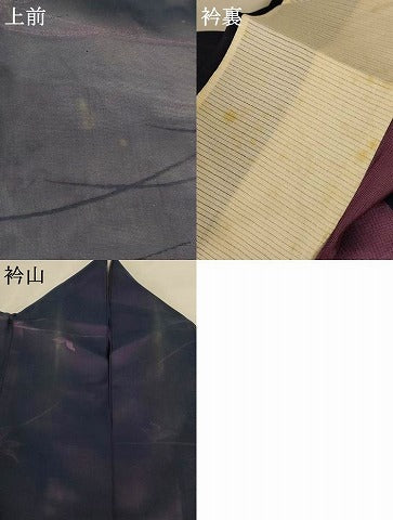 平和屋着物＊夏物　小紋　紗　芝花文　正絹　逸品　AABL0799jd