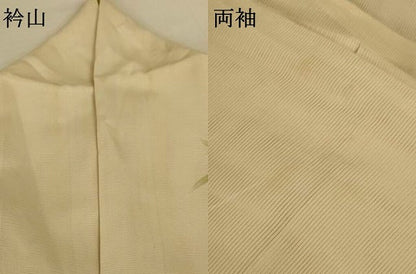 平和屋着物＊夏物　訪問着　絽　手描き　魚　銀彩　正絹　逸品　AABL0809jd