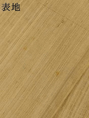 平和屋着物＊夏物　訪問着　生紬　紗　手描き　蛸　正絹　逸品　AABL0862jd