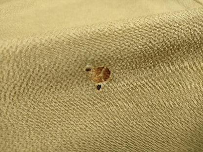 平和屋着物●訪問着　舞花文　金彩　鬼しぼ縮緬　正絹　逸品　AABL0940ck
