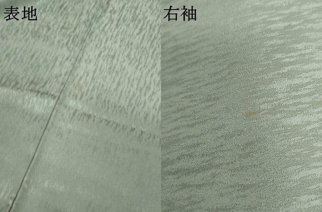 平和屋着物●創業130年　江戸染繍友禅　大彦　訪問着　刺繍　流水に枝花　金糸　金彩　正絹　逸品　AABL1009cs