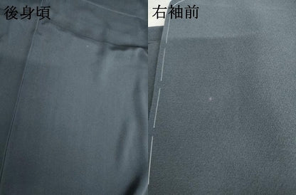平和屋着物●本加賀友禅作家　庄田和晃　訪問着　シンビジューム　証紙付き　正絹　逸品　未使用　AABL1044cs