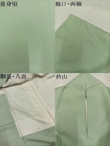 平和屋着物●上質な色無地　紗綾形地紋　裏葉柳色　正絹　逸品　AABL1219ph