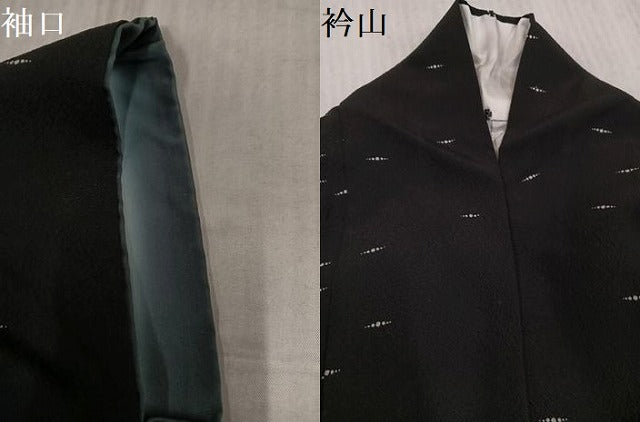 平和屋着物●上質な小紋　間道　黒地　正絹　逸品　AABL1234ph