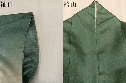 平和屋着物●訪問着　螺鈿　花蝶文　暈し染め　金彩　銀通し地　正絹　逸品　AABL1285ph