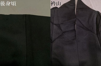 平和屋着物●染色作家　斉藤三才　振袖　舞蝶文　黒地　ロング丈　正絹　逸品　AABL1311ph