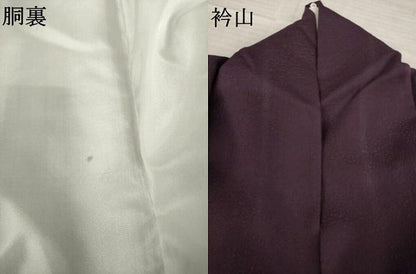 平和屋着物●色留訪問着　花唐草文　金彩　ロング丈　正絹　逸品　AABL1372ck