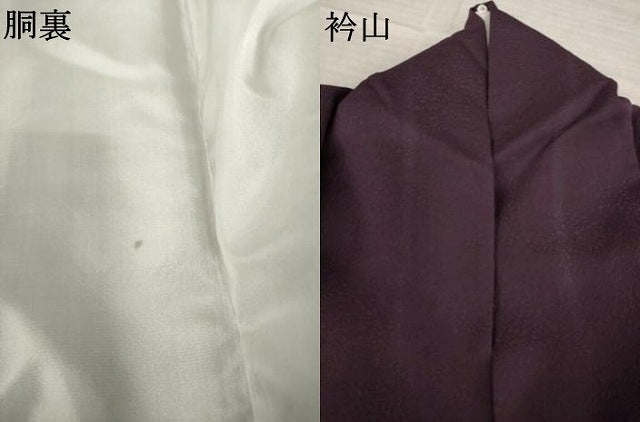 平和屋着物●色留訪問着　花唐草文　金彩　ロング丈　正絹　逸品　AABL1372ck