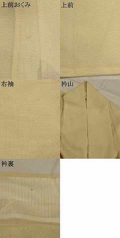 平和屋着物＊夏物　訪問着　絽　手描き　草花文　正絹　逸品　AABL1443st