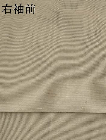 平和屋着物＊夏物　訪問着　絽　手描き　草花文　暈し染め　金彩　正絹　逸品　AABL1463st